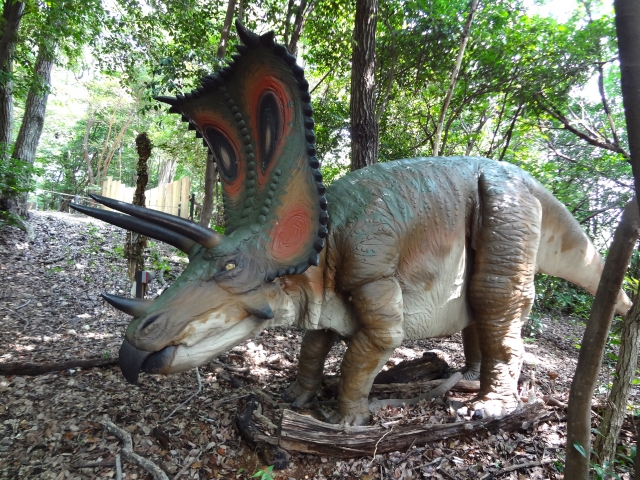 スティラコサウルスの写真